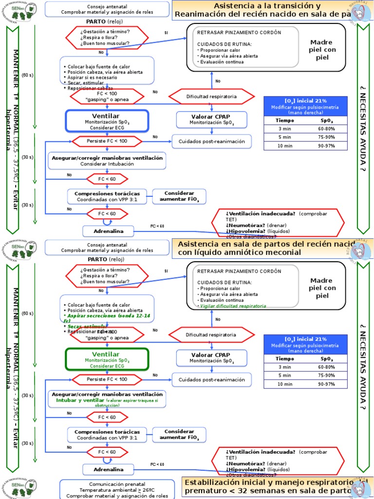 Protocolo de Reanimación Neonatal | PDF