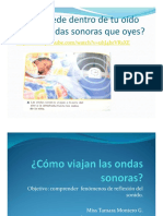 Reflexión Del Sonido