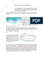 El Iglu. Sistema Constructivo