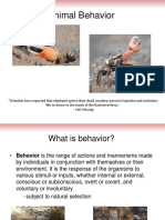 Animal Behavior: Understanding Behavior Through a Biological Lens