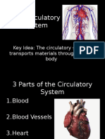 The Circulatory System