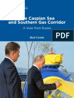 The Caspian Sea and Southern Gas Corridor: A View From Russia