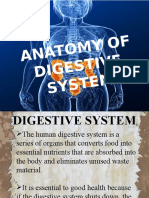 Austin Digestive System 