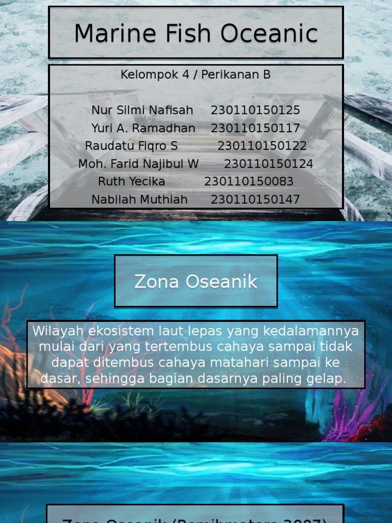 Ikan Zona Oseanik (Fix)