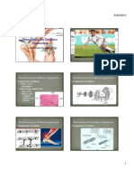 Biomecânica dos Tendões e Ligamentos.pdf