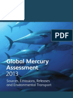 GlobalMercuryAssessment2013.pdf
