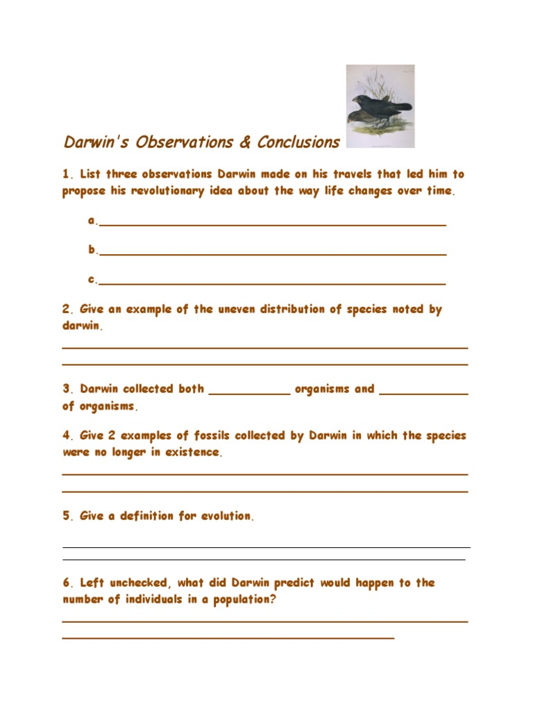 Natural Selection Worksheet Pdf Multiple Choice