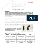 Crecimiento de Planta