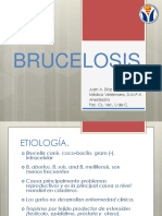 Brucelosis