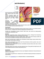 Hemoroid (Wasir Ambeien) - medicastore.pdf