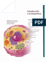 libro-introduccion a la bioquimica.pdf