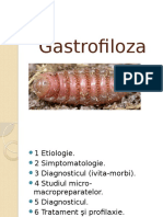 Gastro Filoz A
