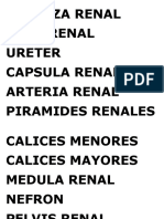 CORTEZA RENAL.docx