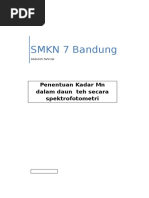 Download penentuan-kadar-mangan-dalam-tehdocx by fitri SN346604015 doc pdf