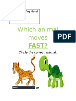 Cognitive Assessment Rhythm