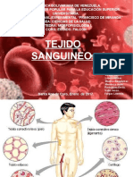 Diapositivas Originales Tejido Sanguineo