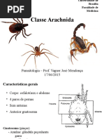 Classe Arachnida 2015