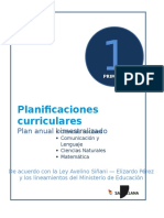 Plan anual 1° de Primaria (Aimara).doc