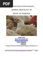 MANUAL PRÁCTICO DEL POLLO DE ENGORDE