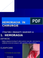 PREZENTARE HEMORAGIE (1).ppt