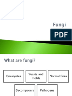 Fungi.pptx