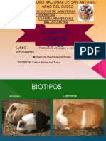 Claasificacion Por Tipos y Biotipos