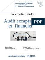 218343742 PFE Final Audit Comptable Et Financier