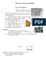 The Cell Cycle and Mitosis Handout