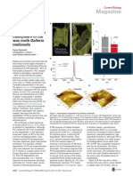 RECICLANDO PLASTICO (1).pdf