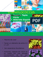 Staphylococcus: Morfología, Patología y Diagnóstico