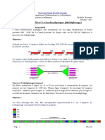 Sol TD5 Reseaux