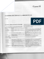 11. Anatomia secţională a abdomenului.pdf