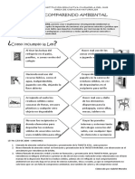 COMPARENDO_AMBIENTAL