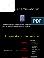 Anatomia Apto Circulatorio - Respiratorio-1