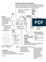 esquema-o-estructura-de-la-teoria-del-vinculo-de-pichon-riviere.pdf
