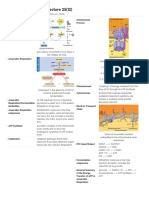 Print › Biology Lecture 25(12) _ Quizlet