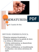 Prematuridade: causas, características e complicações possíveis