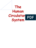 CirculatorySystem PPSX