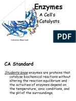 A Cell's Catalysts: Enzymes