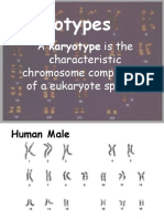 Karyotypes: A Karyotype Is The Characteristic Chromosome Complement of A Eukaryote Species