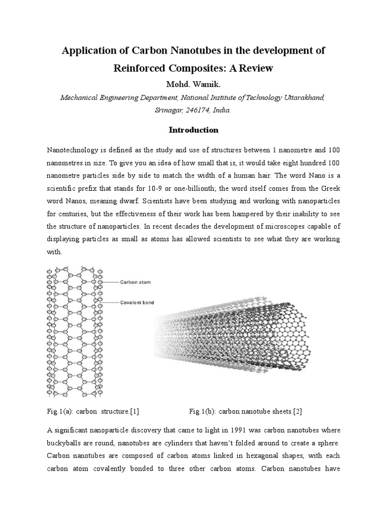 Carbon Nanotubes Reinforced Composites | PDF | Carbon Nanotube ...