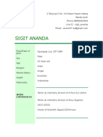 Sigit Ananda: Work Experiences