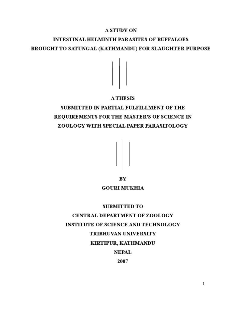 Martin luther diet of worms image