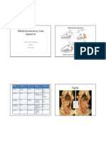 6 glandulas anexas ao sistema digestorio (3).pdf