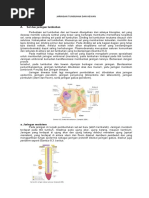 Download Jaringan Tumbuhan Dan Hewan by Kokoro No Tomo SN34675885 doc pdf