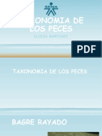 Taxonomía de peces colombianos