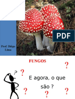 fungos