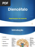 Diencéfalo II
