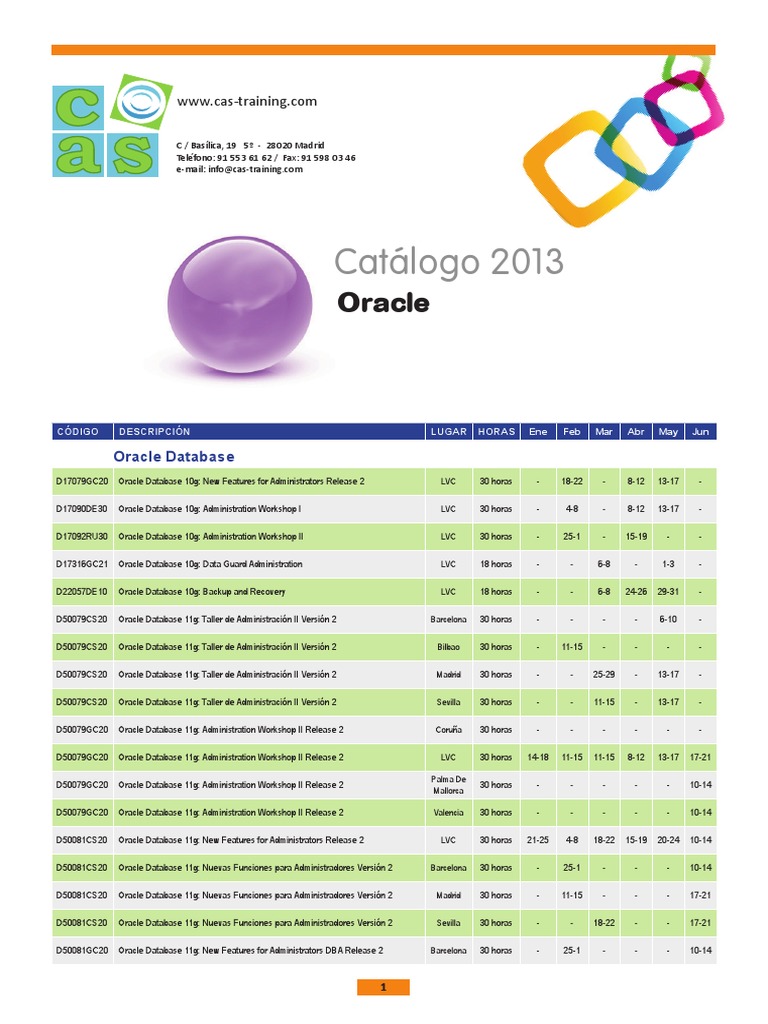 Case Oracle 2013 PDF PDF