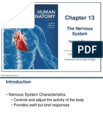 The Nervous System | Neural Tissue